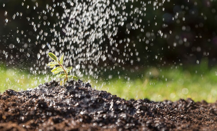 Urban Lawn Sprinklers 